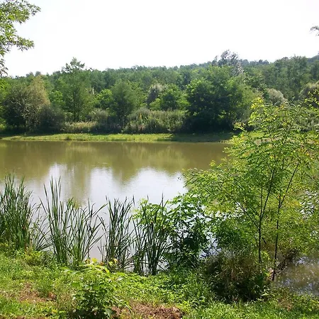 Guest house Tranquil Pines Campsite & Lodges Szakcs