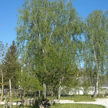 Guest house Tranquil Pines Campsite & Lodges 3*