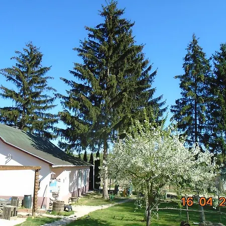 Guest house Tranquil Pines Campsite & Lodges 3*